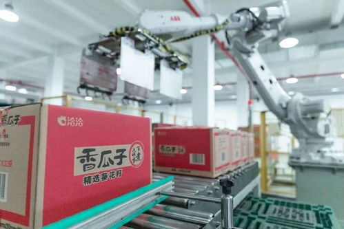 上市以来营收利润首次同步下滑，洽洽食品新一年如何破局？